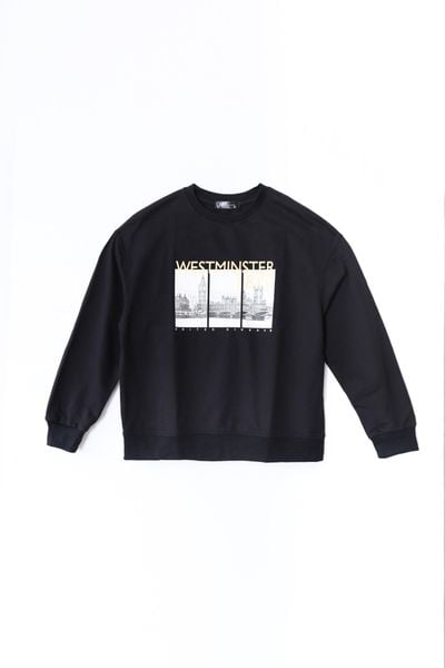 Áo thun sweater 10208078