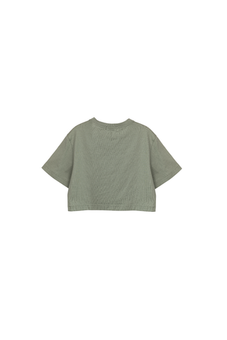 Thun hình croptop 10211465