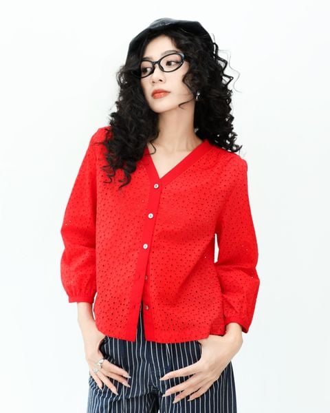 Sơ Mi Kiểu DT 10612088