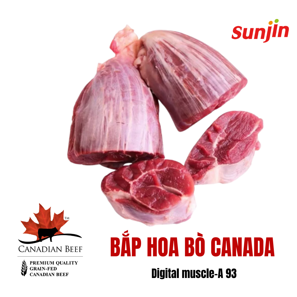  Bắp hoa bò Excel Canada A 93 (Digital muscle) 