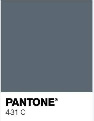 PANTONE-431C-GREY