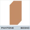 PANTONE-6034C-BROWN