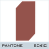 PANTONE-6041C-BROWN