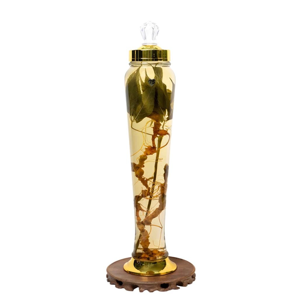 Bình Rượu Sâm Ngọc Linh Kontum 3 Lít