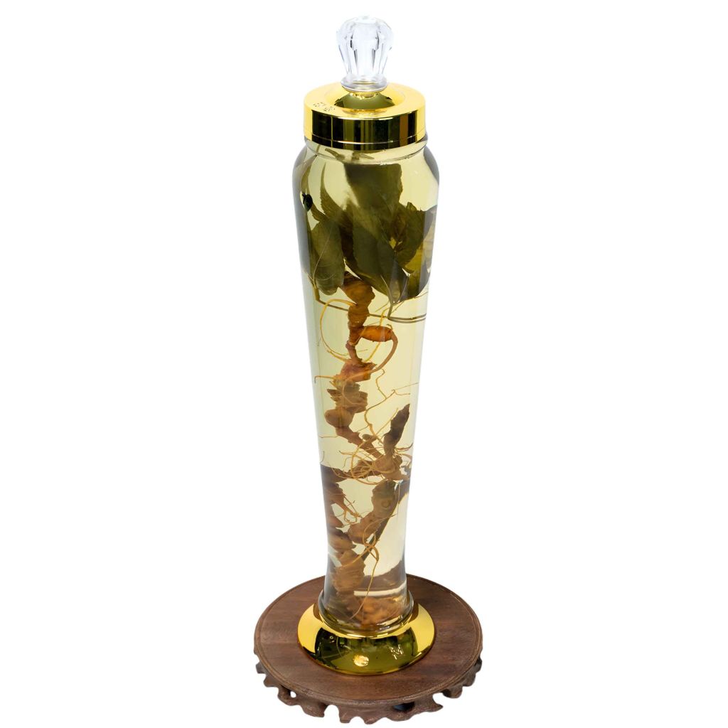 Bình Rượu Sâm Ngọc Linh Kontum 3 Lít