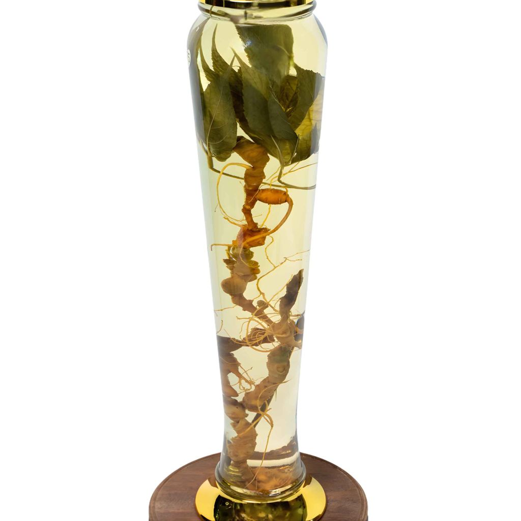 Bình Rượu Sâm Ngọc Linh Kontum 3 Lít