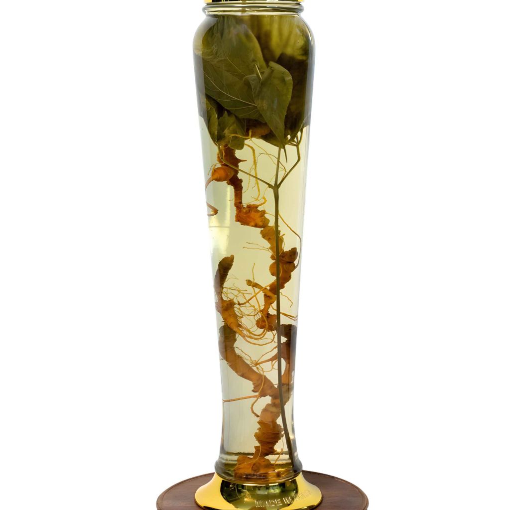 Bình Rượu Sâm Ngọc Linh Kontum 3 Lít