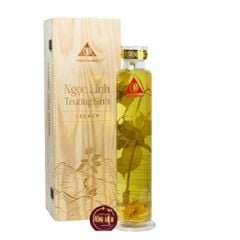 Bình Sâm Ngọc Linh Có Củ Trường Sinh Legacy 2 Lít