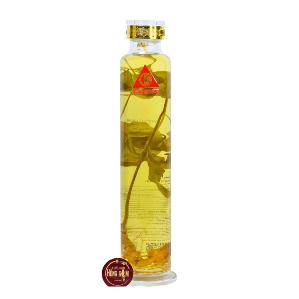 Bình Sâm Ngọc Linh Có Củ Trường Sinh Legacy 2 Lít