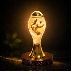 Bình Rượu Sâm Ngọc Linh Kontum 2,5 Lít