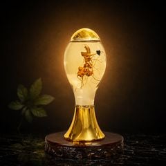 Bình Rượu Sâm Ngọc Linh Kontum 2,5 Lít