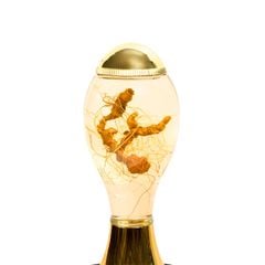 Bình Rượu Sâm Ngọc Linh Kontum 2,5 Lít