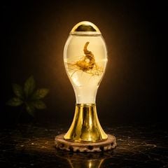 Bình Rượu Sâm Ngọc Linh Kontum 2,5 Lít
