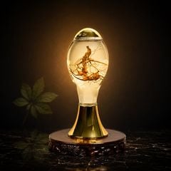 Bình Rượu Sâm Ngọc Linh Kontum 2,5 Lít