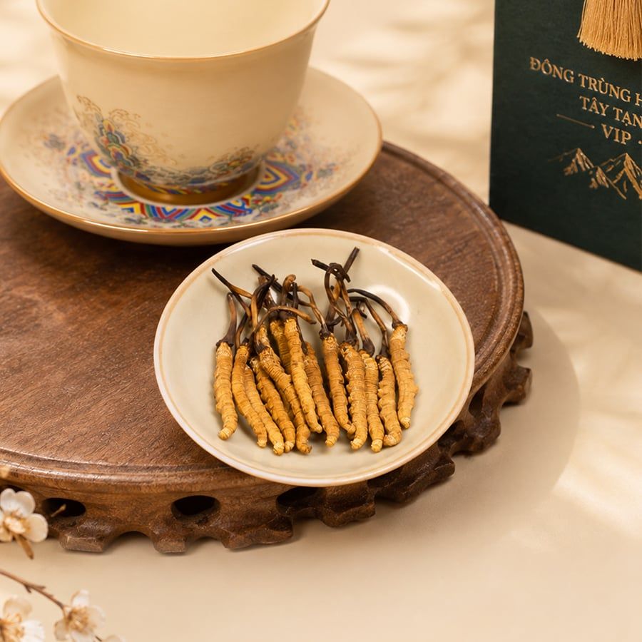 Đông Trùng Hạ Thảo Tây Tạng Vip - 40con/10g Hàng Tuyển Chọn