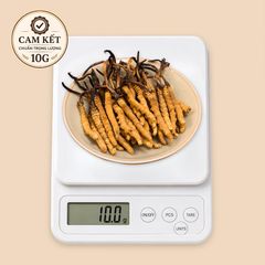 Đông Trùng Hạ Thảo Tây Tạng Vip - 40con/10g Hàng Tuyển Chọn