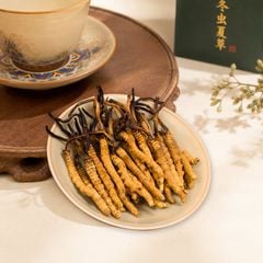 Đông Trùng Hạ Thảo Tây Tạng Vip - 40con/10g Hàng Tuyển Chọn
