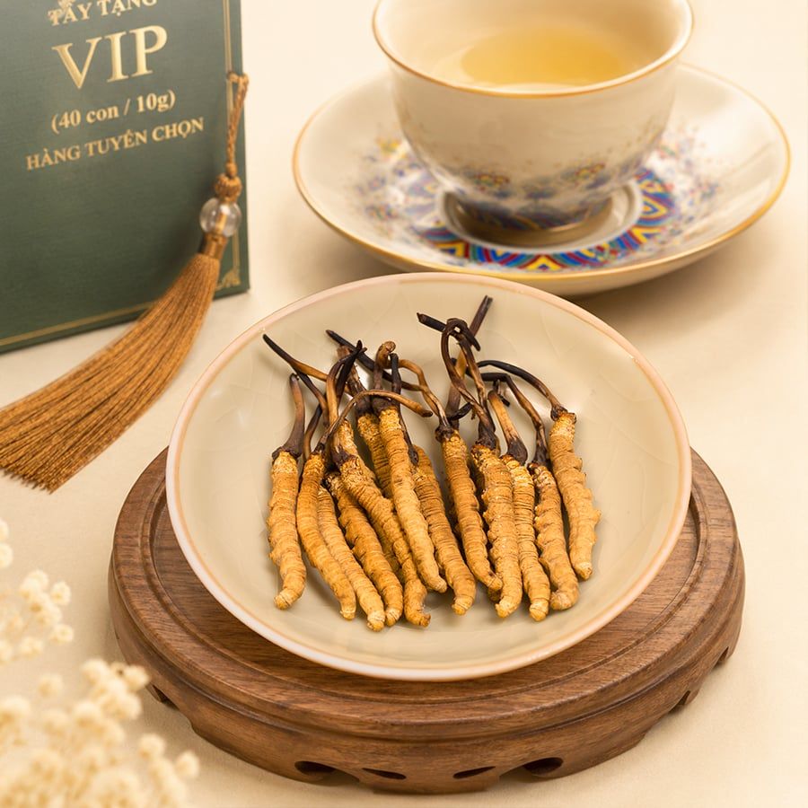 Đông Trùng Hạ Thảo Tây Tạng Vip - 40con/10g Hàng Tuyển Chọn