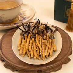 Đông Trùng Hạ Thảo Tây Tạng Vip - 40con/10g Hàng Tuyển Chọn