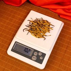 Đông Trùng Hạ Thảo Tây Tạng Vip - 50con/10g Hàng Tuyển Chọn