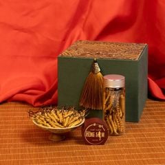 Đông Trùng Hạ Thảo Tây Tạng Vip - 50con/10g Hàng Tuyển Chọn