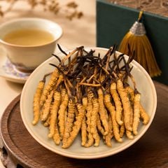 Đông Trùng Hạ Thảo Tây Tạng Vip - 50con/10g Hàng Tuyển Chọn