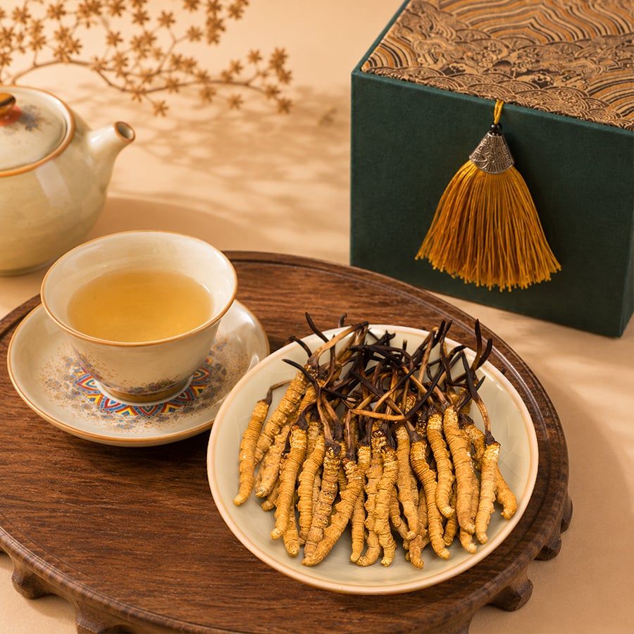 Đông Trùng Hạ Thảo Tây Tạng Vip - 50con/10g Hàng Tuyển Chọn