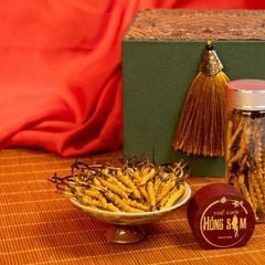 Đông Trùng Hạ Thảo Tây Tạng Vip - 50con/10g Hàng Tuyển Chọn
