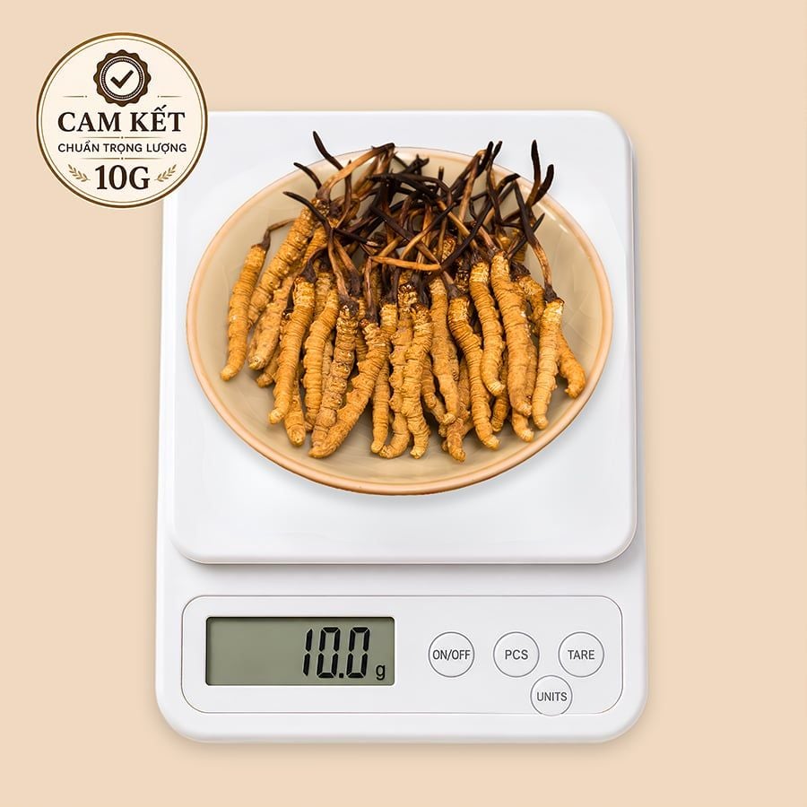 Đông Trùng Hạ Thảo Tây Tạng Vip - 50con/10g Hàng Tuyển Chọn