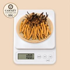 Đông Trùng Hạ Thảo Tây Tạng Vip - 50con/10g Hàng Tuyển Chọn