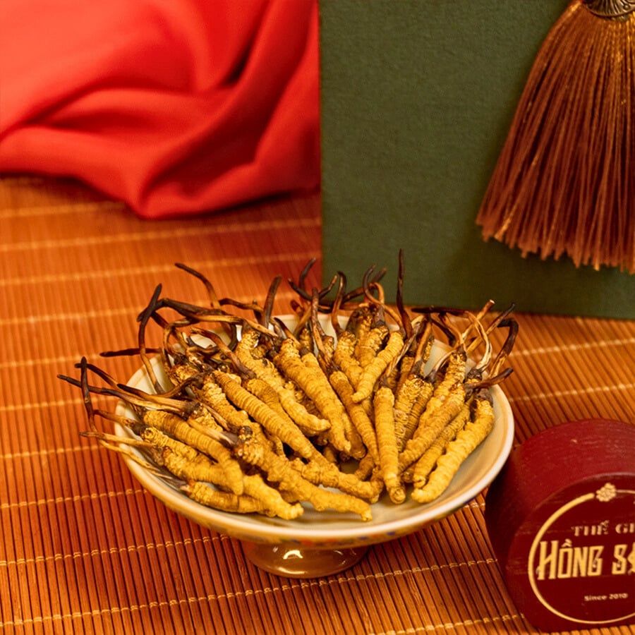 Đông Trùng Hạ Thảo Tây Tạng Vip - 50con/10g Hàng Tuyển Chọn