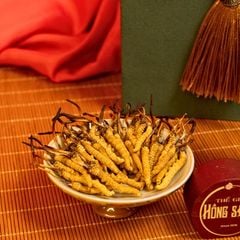 Đông Trùng Hạ Thảo Tây Tạng Vip - 50con/10g Hàng Tuyển Chọn