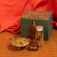 Đông Trùng Hạ Thảo Tây Tạng Vip - 50con/10g Hàng Tuyển Chọn