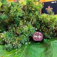 Hoa Sâm Ngọc Linh Kon Tum Tươi 1kg