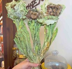 Hoa Thiên Sơn Tuyết Liên Khô 30g