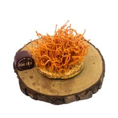 Nấm Đông Trùng Hạ Thảo Tươi