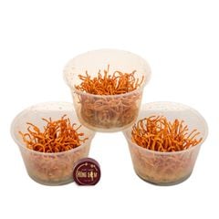 Nấm Đông Trùng Hạ Thảo Tươi
