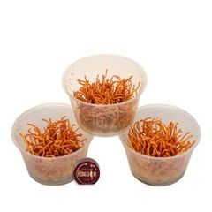 Nấm Đông Trùng Hạ Thảo Tươi