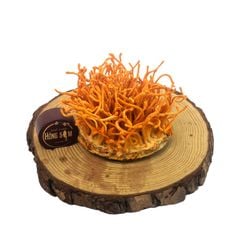 Nấm Đông Trùng Hạ Thảo Tươi
