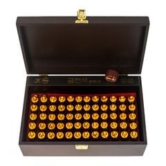 Tinh Chất Đông Trùng Hạ Thảo Cao Cấp Kanghwa FDA Hộp 60 Ống x 20ml