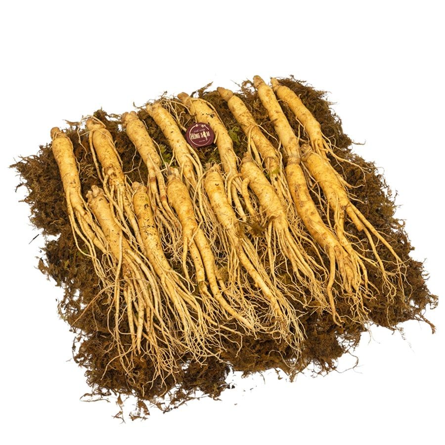 Sâm Tươi Hầm Gà Loại 15 Củ 1 kg