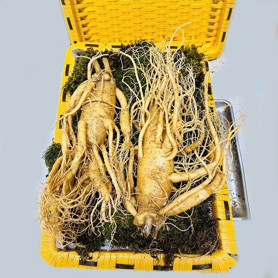 Sâm Tươi Hàn Quốc 2 Củ 1Kg