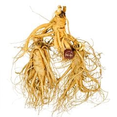 Sâm Tươi Hàn Quốc 3 Củ 1Kg