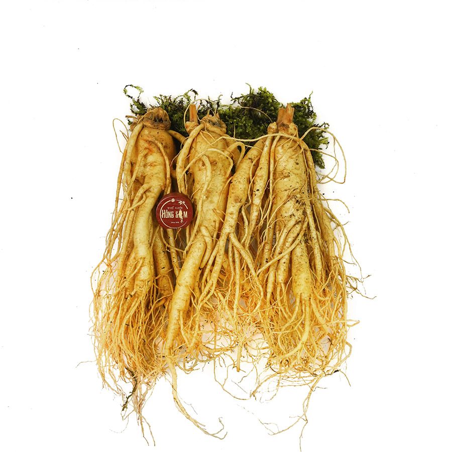Sâm Tươi Hàn Quốc 3 Củ 1Kg