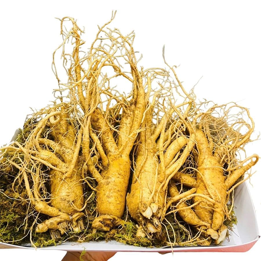 Sâm Tươi Hàn Quốc 4 Củ 1Kg