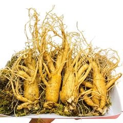 Sâm Tươi Hàn Quốc 4 Củ 1Kg