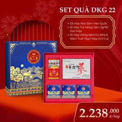 Hộp Quà Biếu Tết DKG.22 Daedong 2026