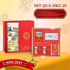 Hộp Quà Biếu Tết DKG.29 Daedong 2026