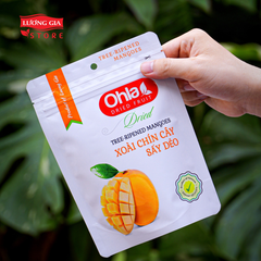 Xoài Chín Cây Sấy Dẻo Ohla 100g