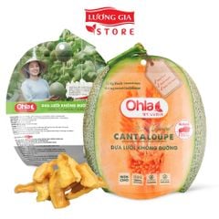 Dưa lưới sấy dẻo không đường Ohla 200g - Đặc sản trái cây sấy dẻo, thơm ngon dẻo mềm